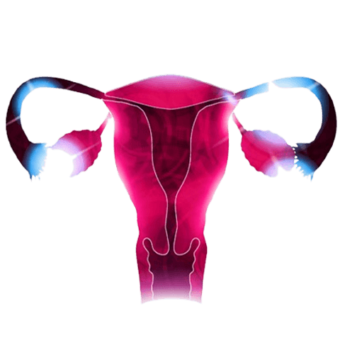 Uterine Fibroid Embolization Patient